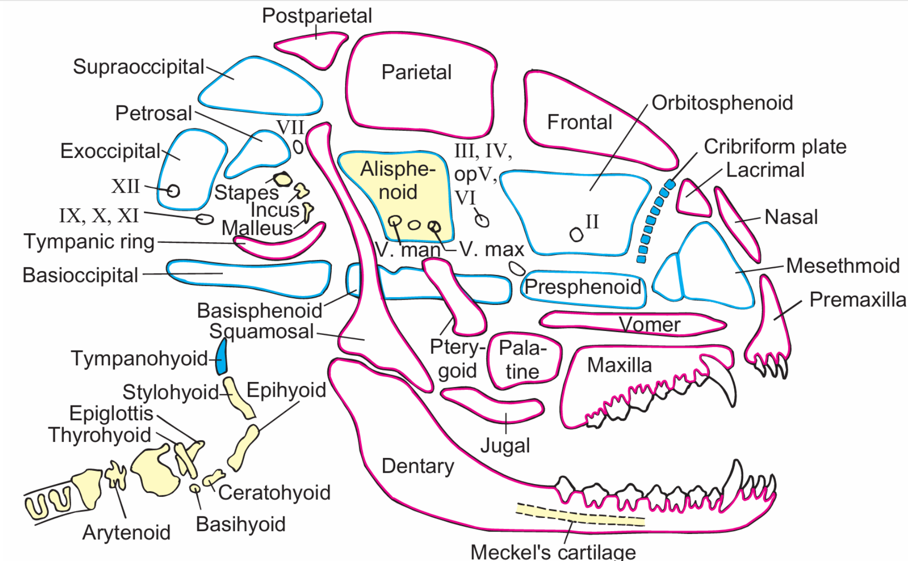 屏幕截图 2025-02-08 175919.png