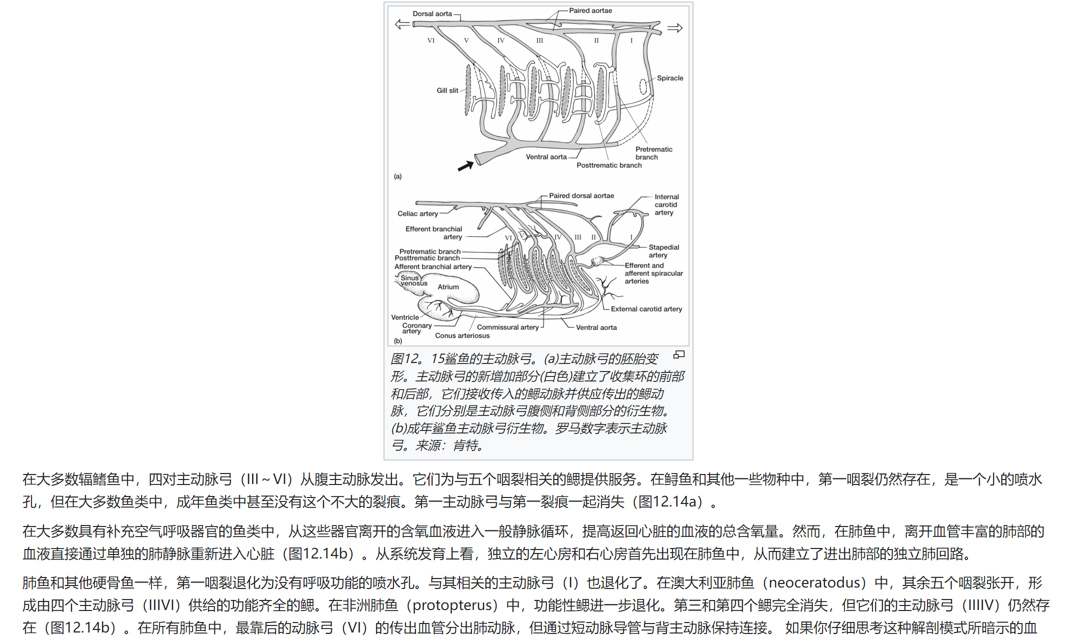 屏幕截图 2025-02-08 120234.png