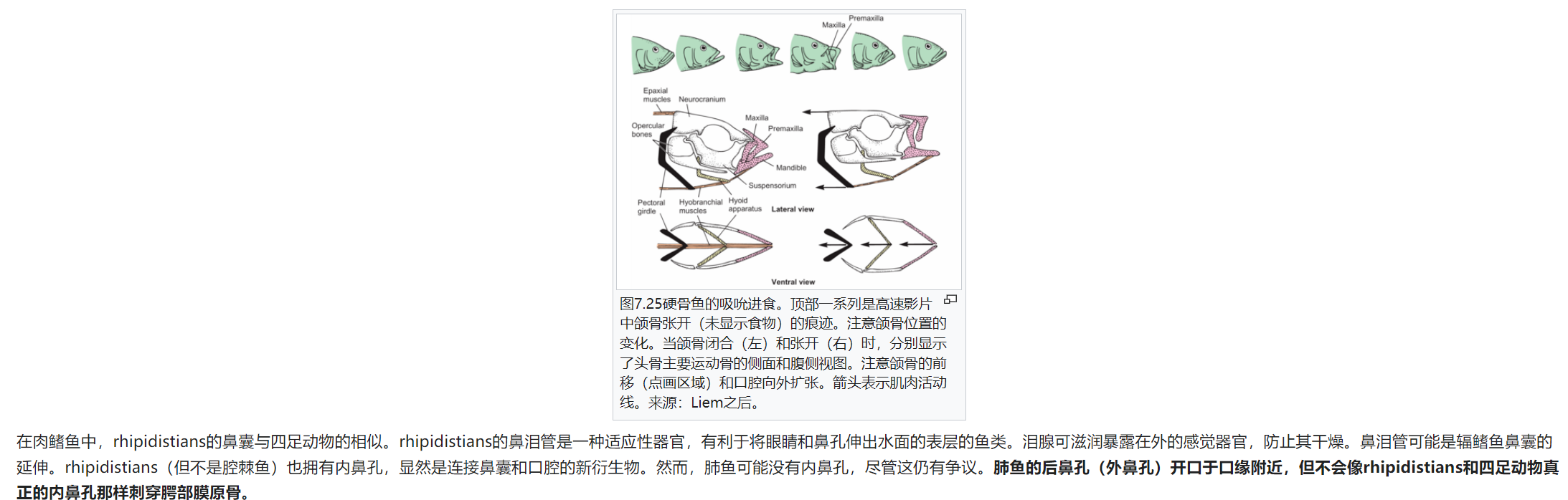 屏幕截图 2025-02-08 175635.png