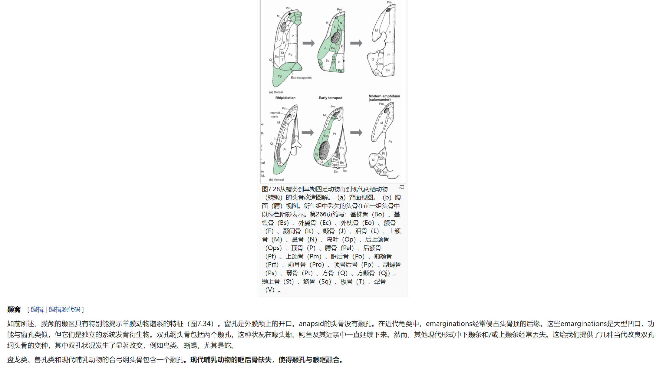 屏幕截图 2025-02-08 175657.png
