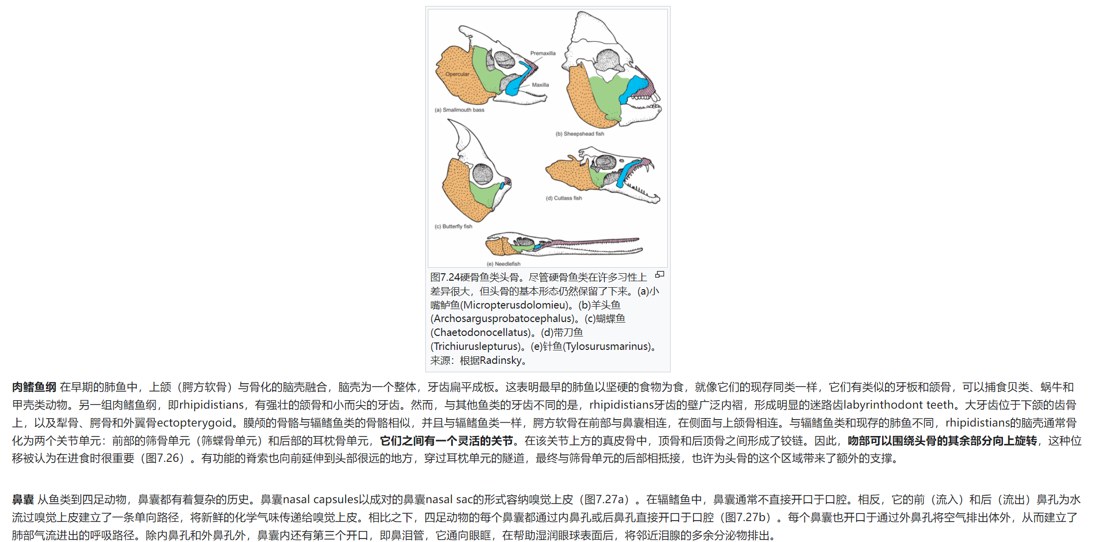 屏幕截图 2025-02-08 175627.png