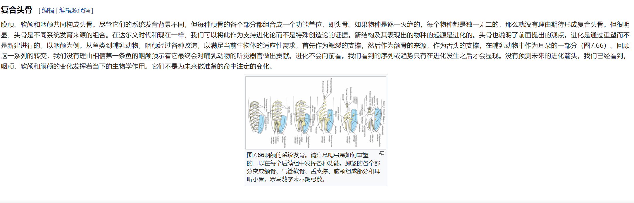 屏幕截图 2025-02-08 180045.png