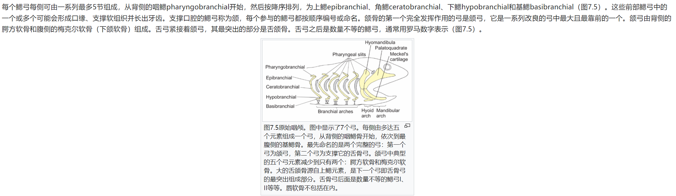 屏幕截图 2025-02-08 175355.png