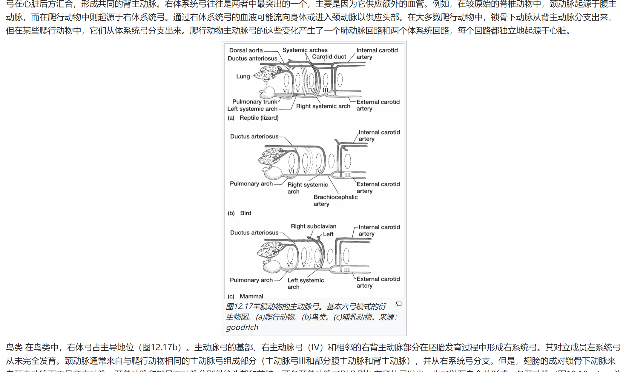 屏幕截图 2025-02-08 120258.png