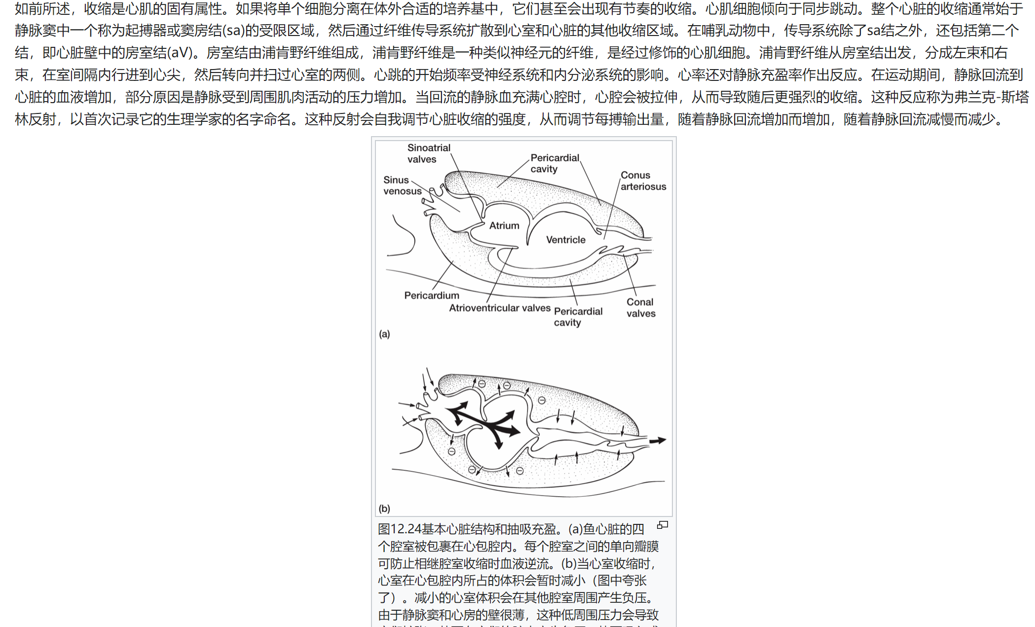 屏幕截图 2025-02-08 121934.png