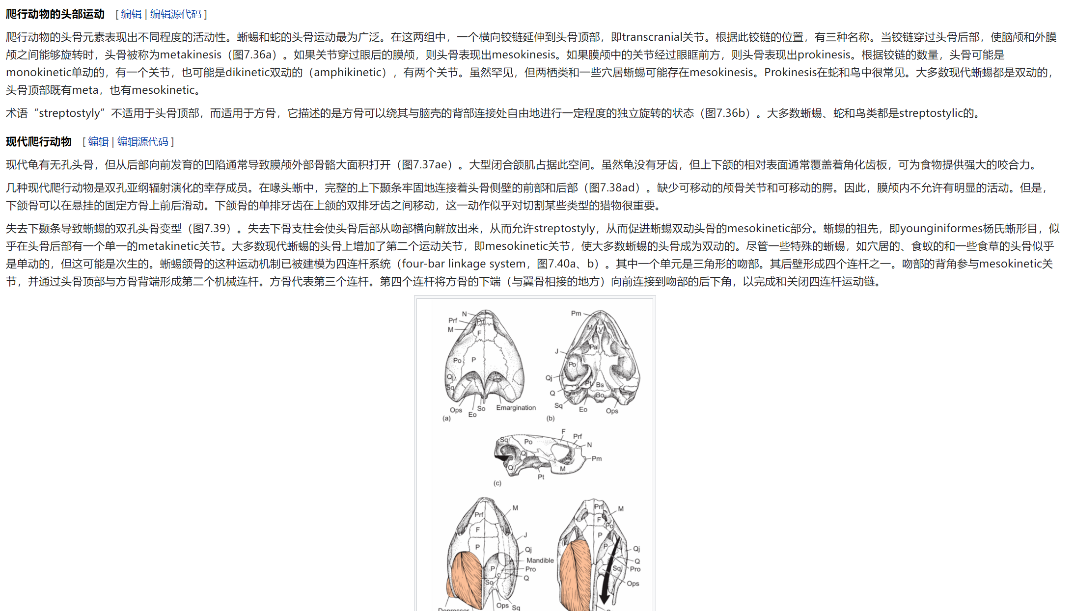 屏幕截图 2025-02-08 175752.png