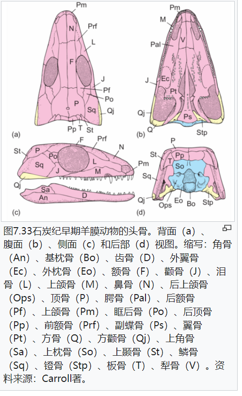 屏幕截图 2025-02-08 175726.png