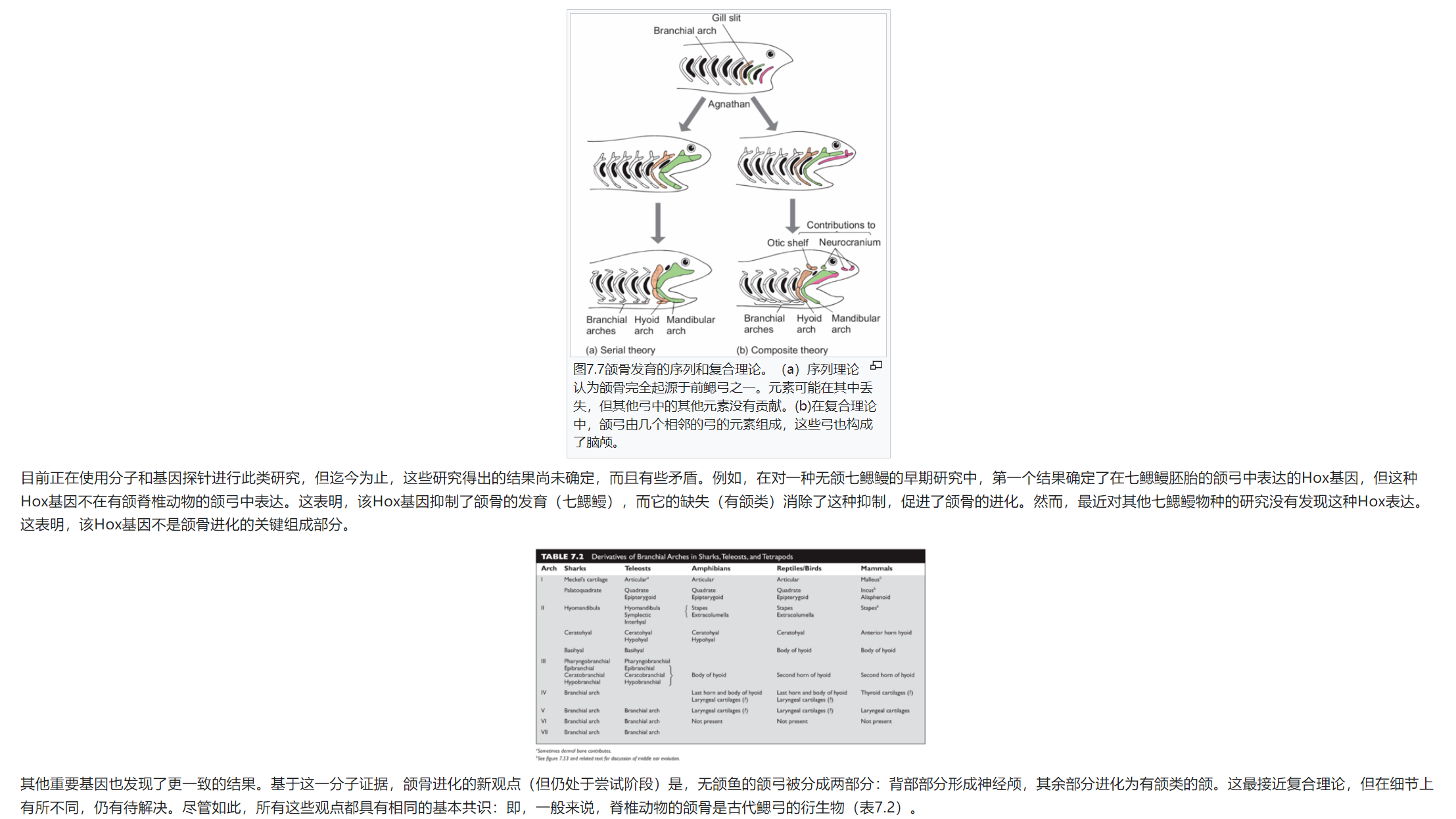 屏幕截图 2025-02-08 175412.png