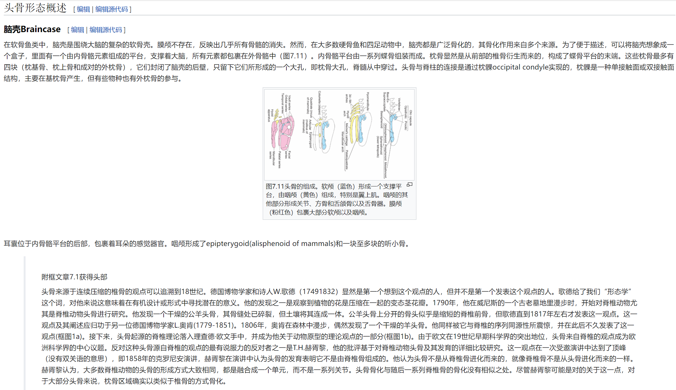 屏幕截图 2025-02-08 175450.png
