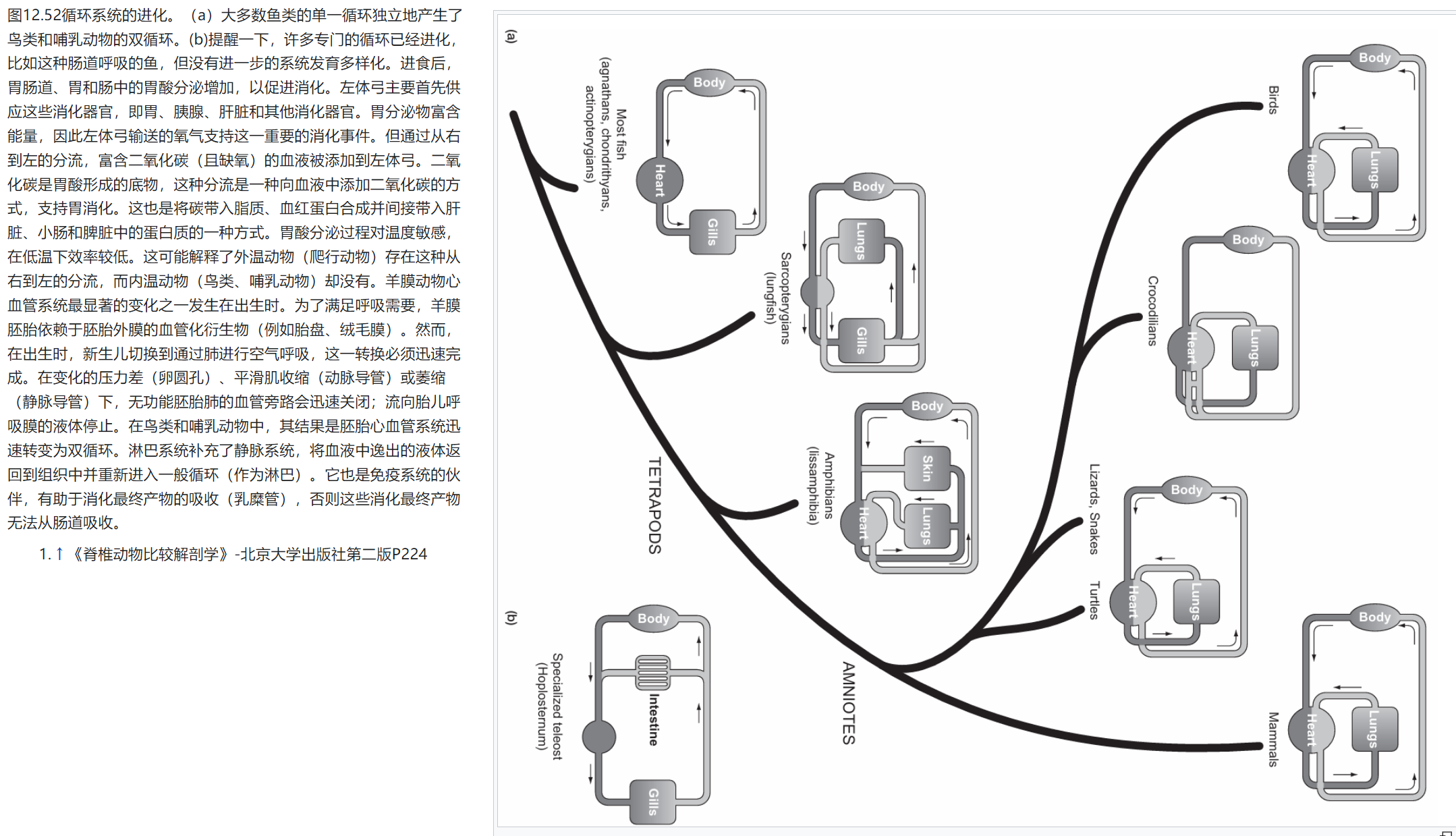 屏幕截图 2025-02-08 122207.png