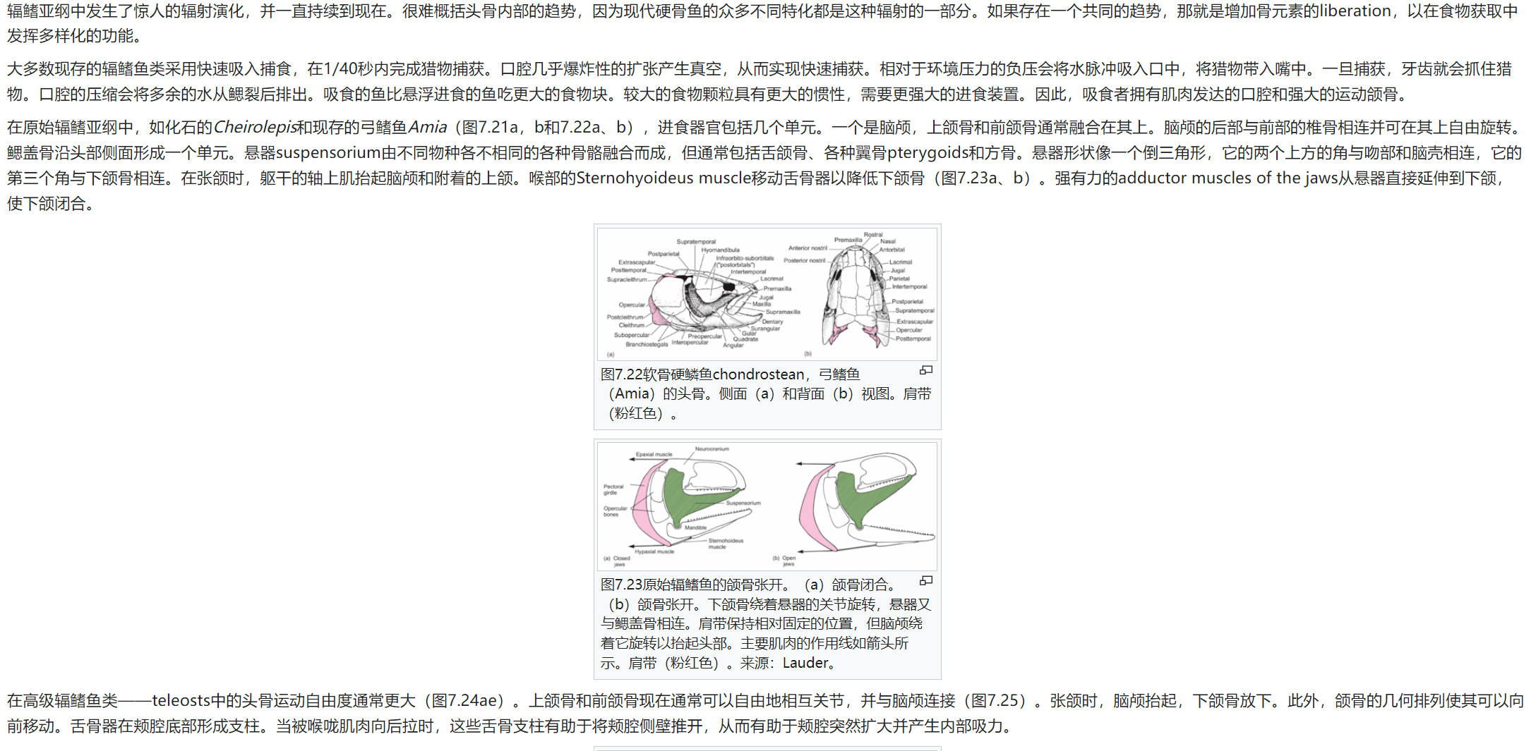 屏幕截图 2025-02-08 175621.png