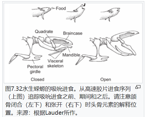 屏幕截图 2025-02-08 175720.png