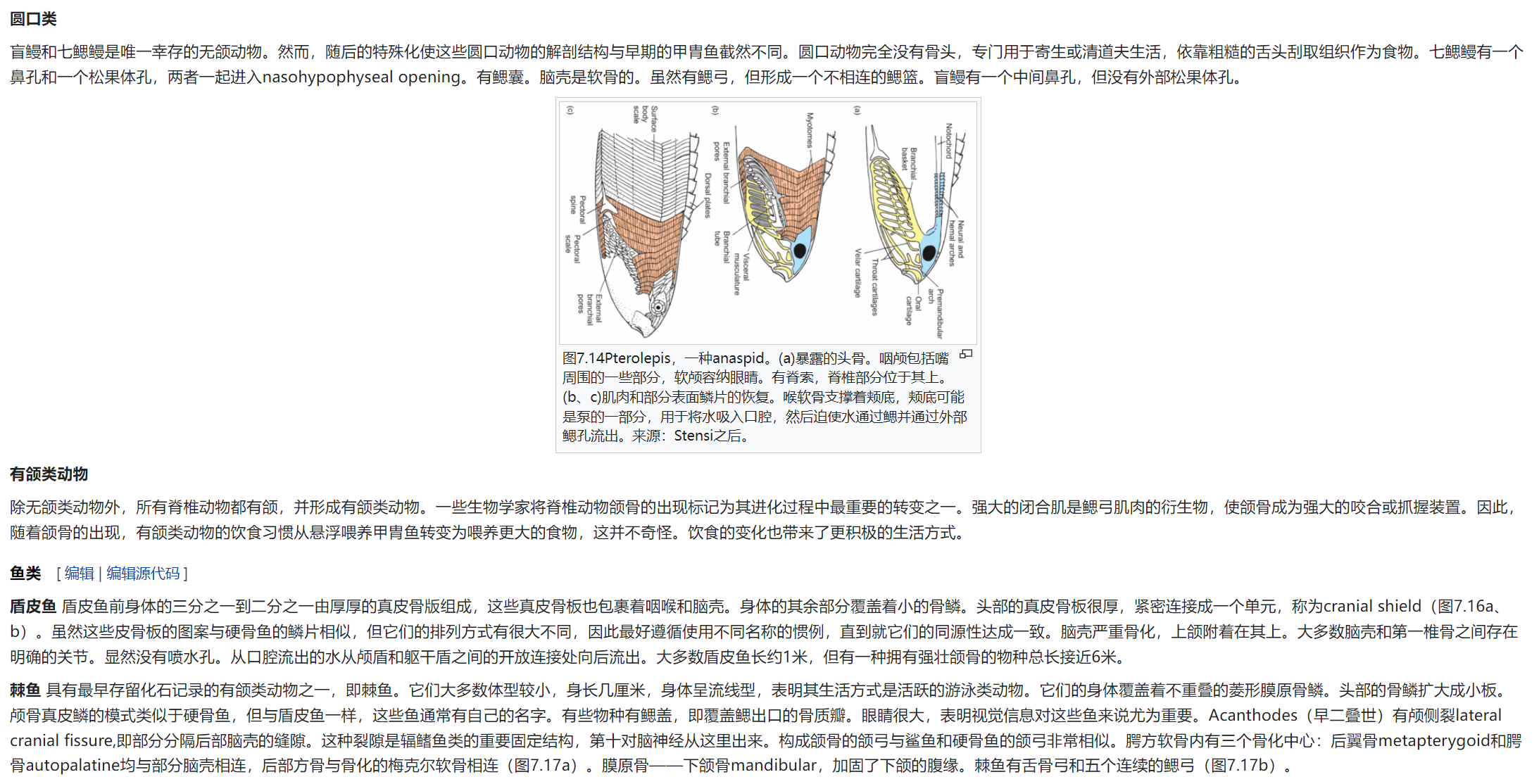 屏幕截图 2025-02-08 175540.png