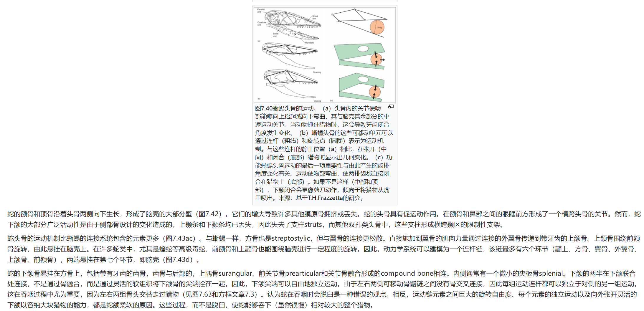 屏幕截图 2025-02-08 175817.png