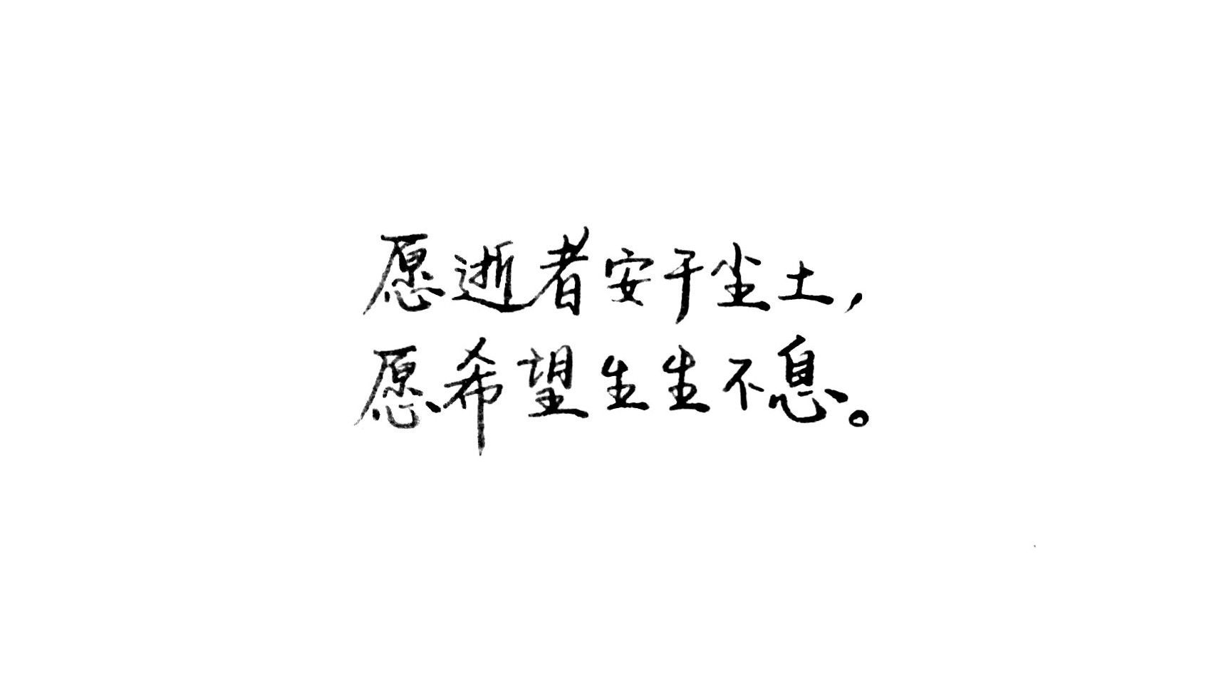 1734429039507.jpg