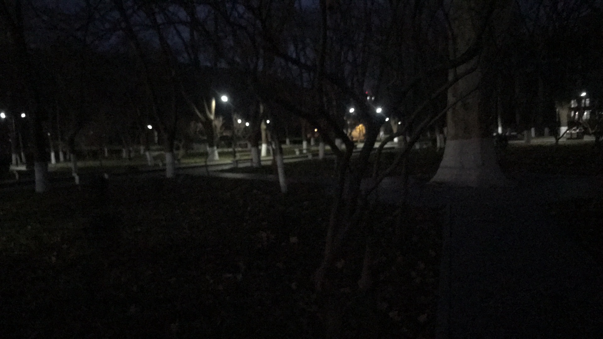 1CE825B0-067C-4297-B5C8-C5F9CE6B7E89.jpeg