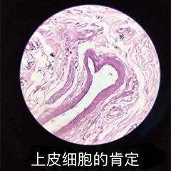 1703566605274.jpg