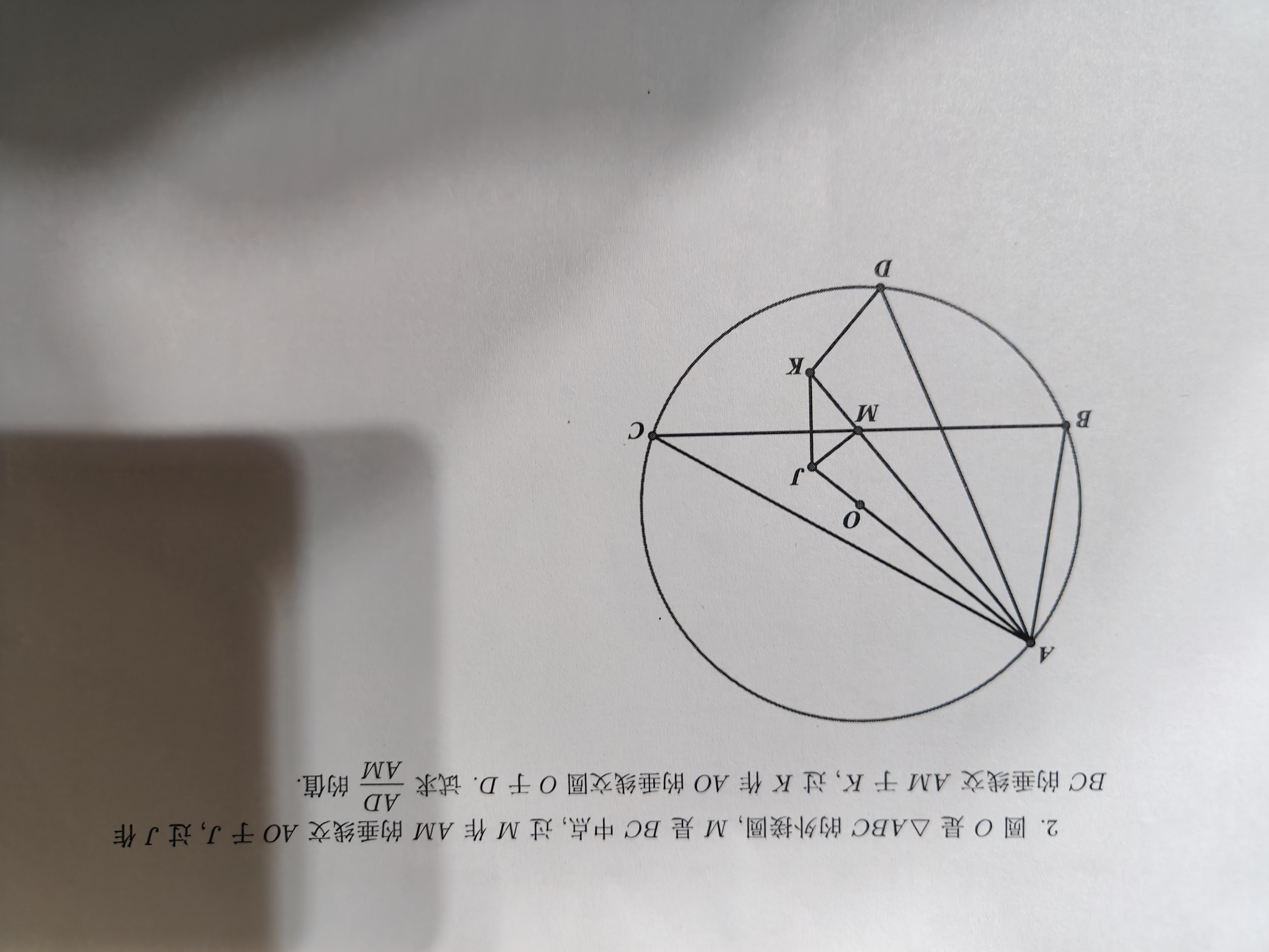 IMG20250214200718.jpg