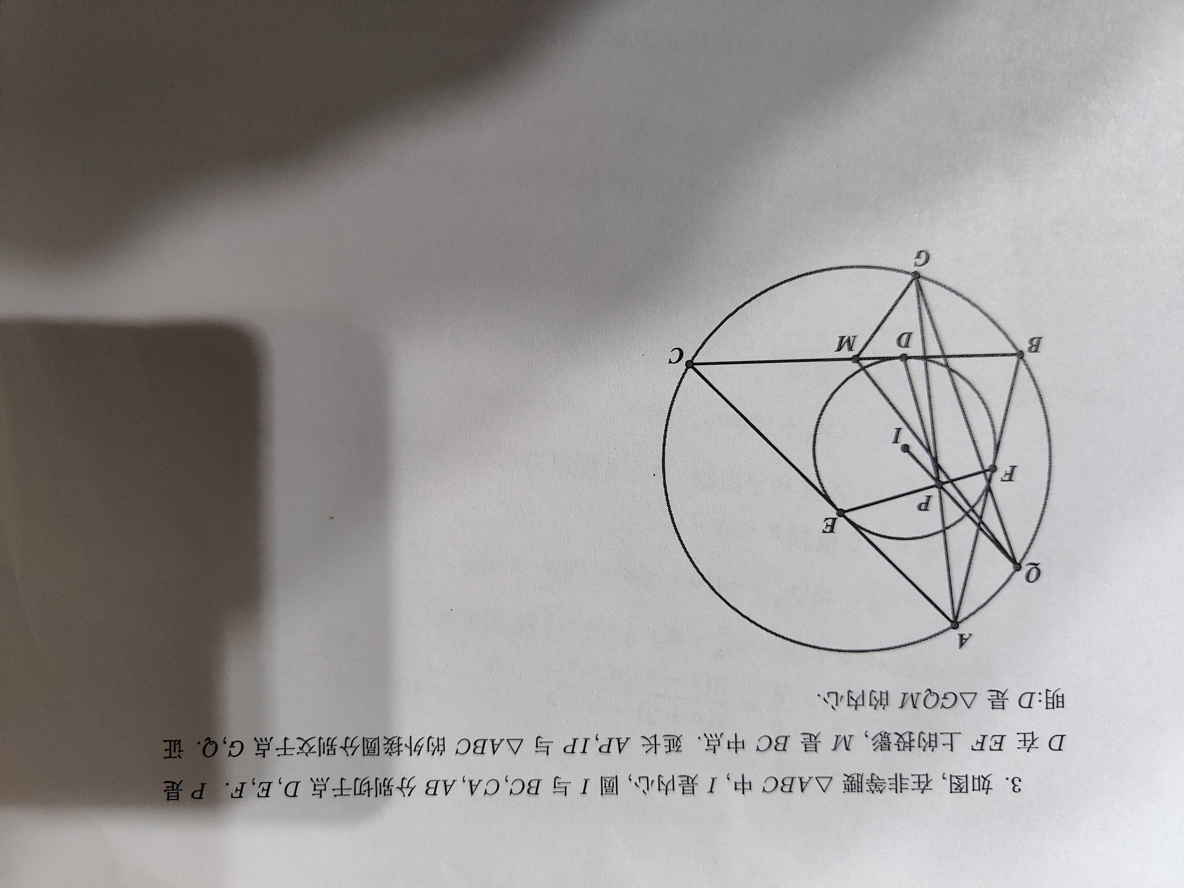 IMG20250214200724.jpg