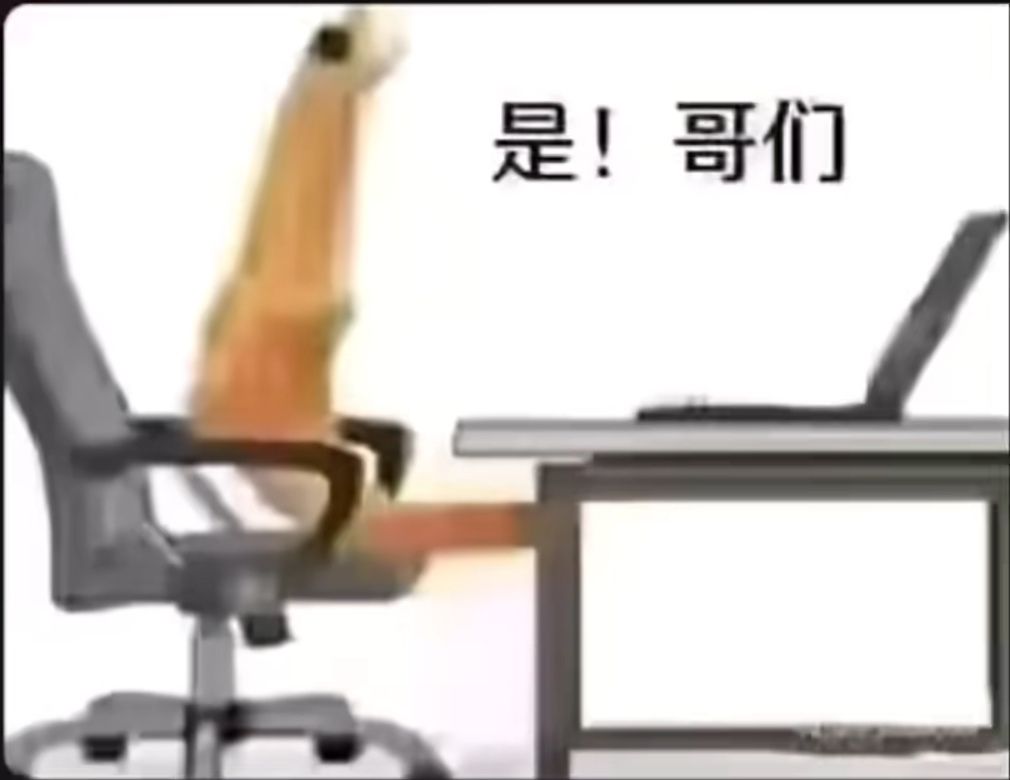 1739432515589.jpg