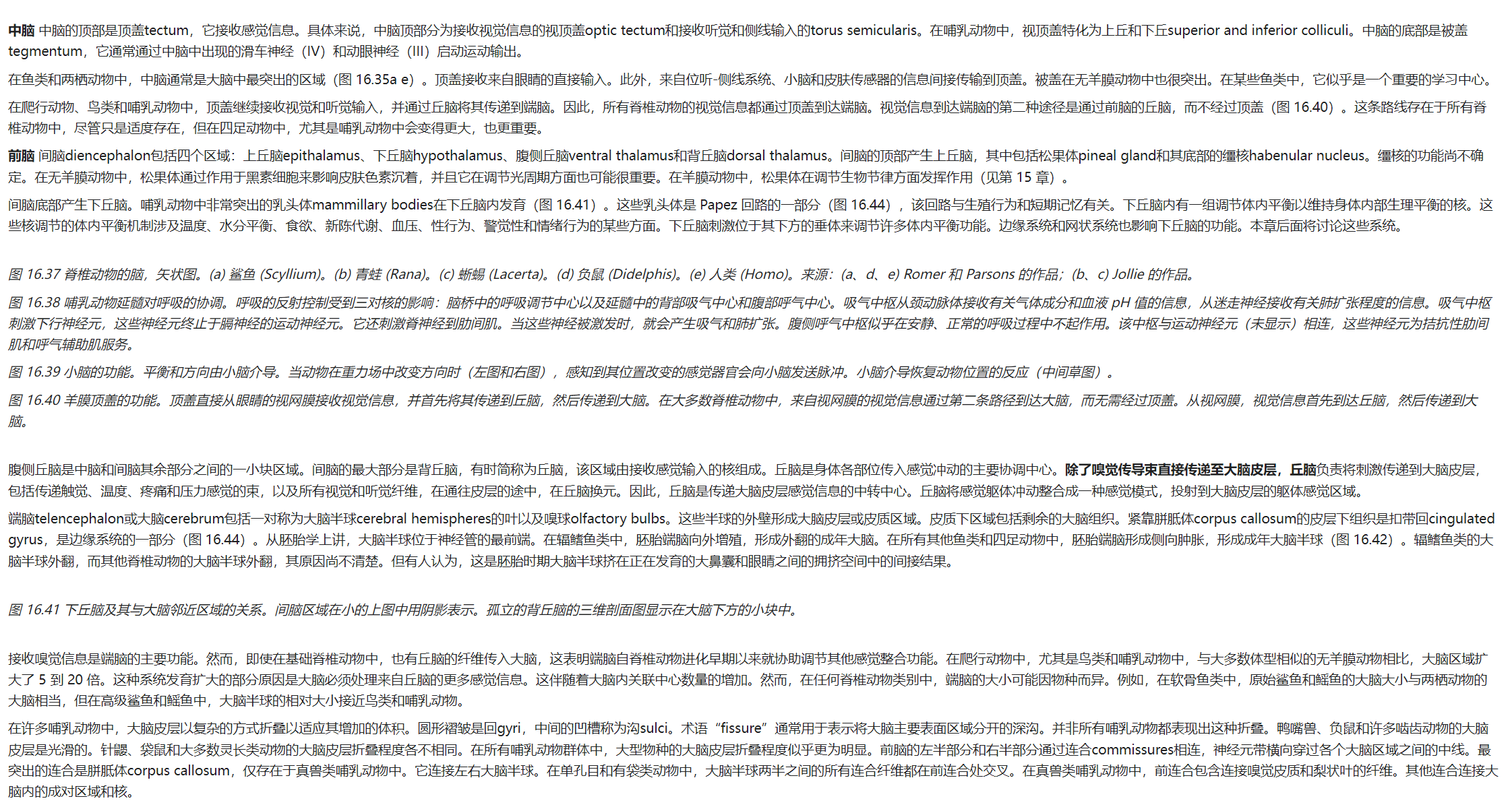 屏幕截图 2025-03-07 203917.png