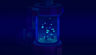 Kurzgesagt科普：下一次疾病大流行将会是人类制造的（中英字幕） 00_00_00-00_08_46.gif