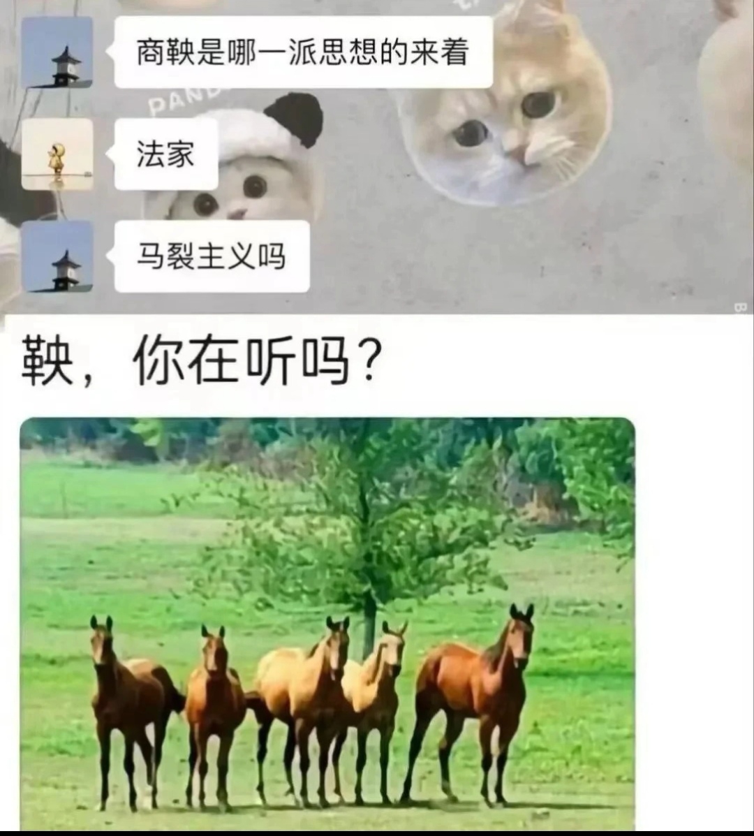 Screenshot_20250315_184627_tv.danmaku.bili_edit_117727281851826.jpg