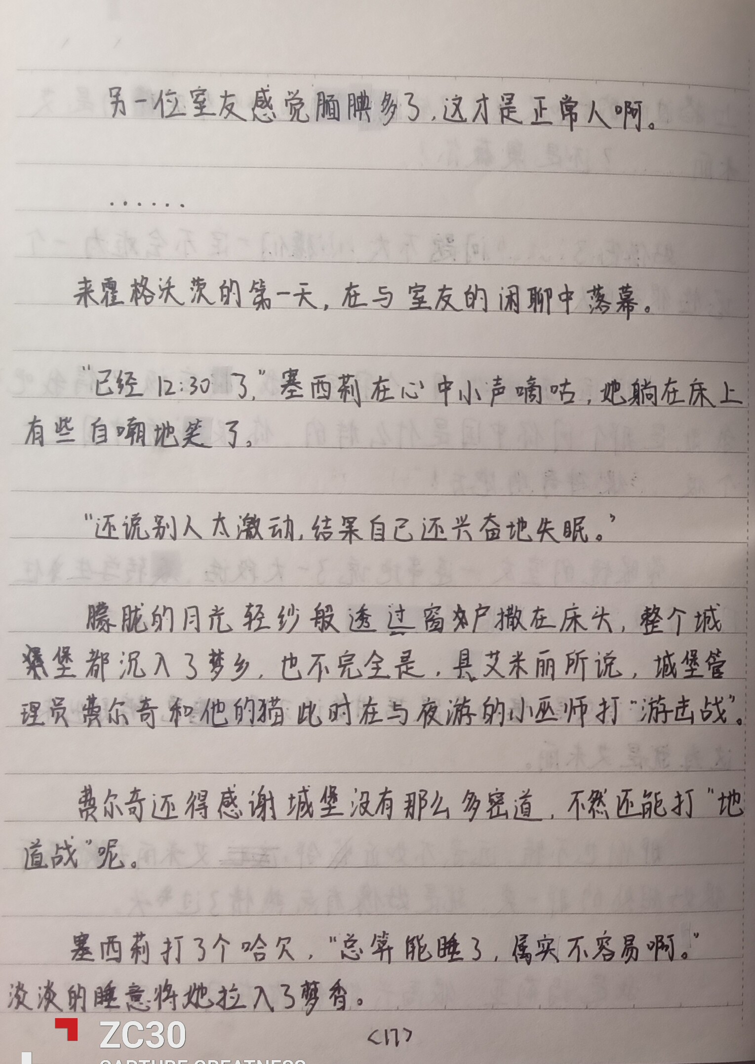 17.jpg