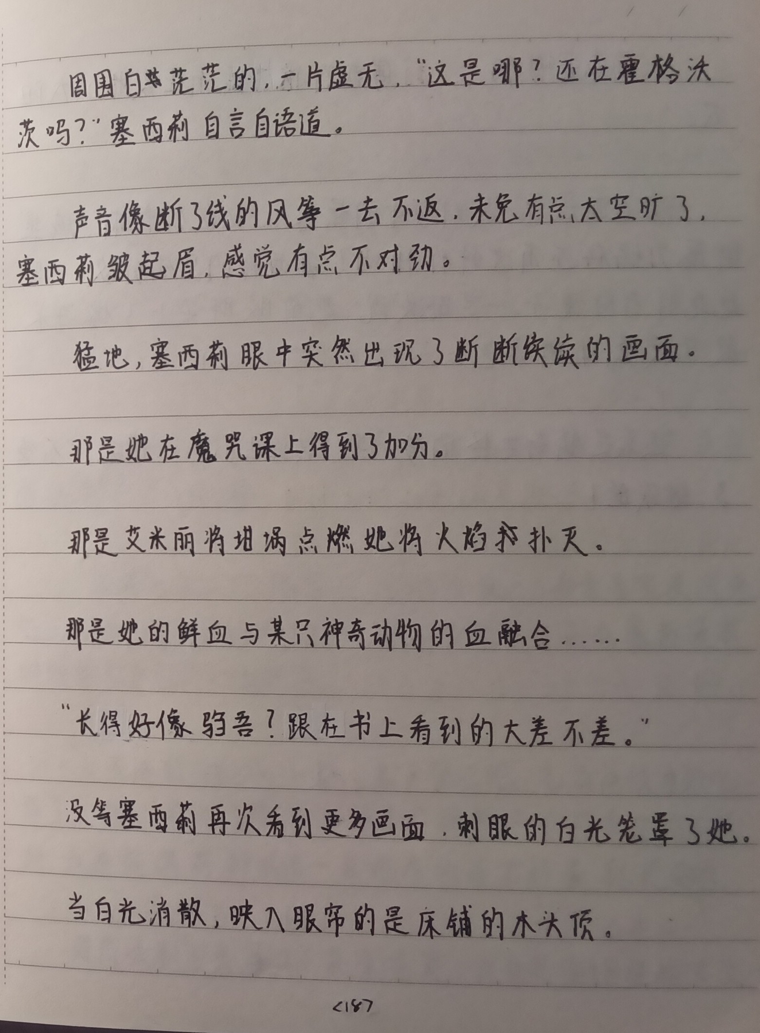 18.jpg