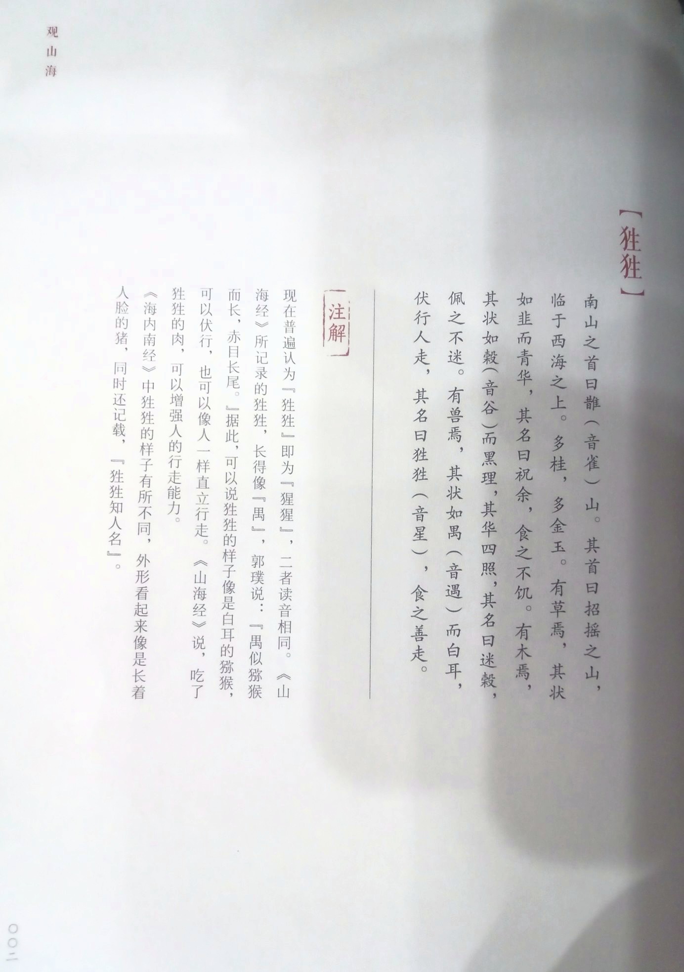 IMG_20250322_200918_224.jpg
