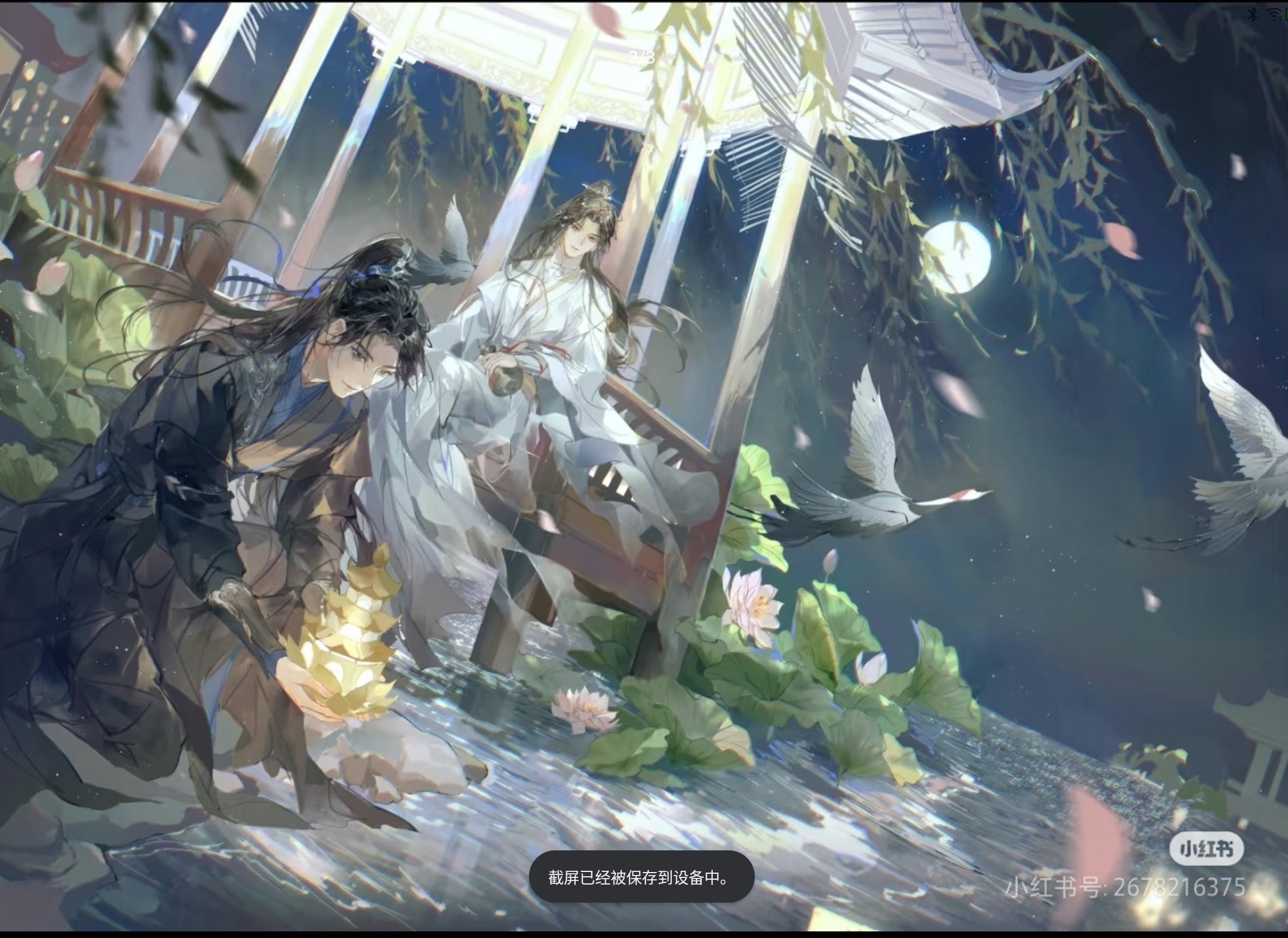 Screenshot_2025-01-17-10-35-11-226_1_1.jpg
