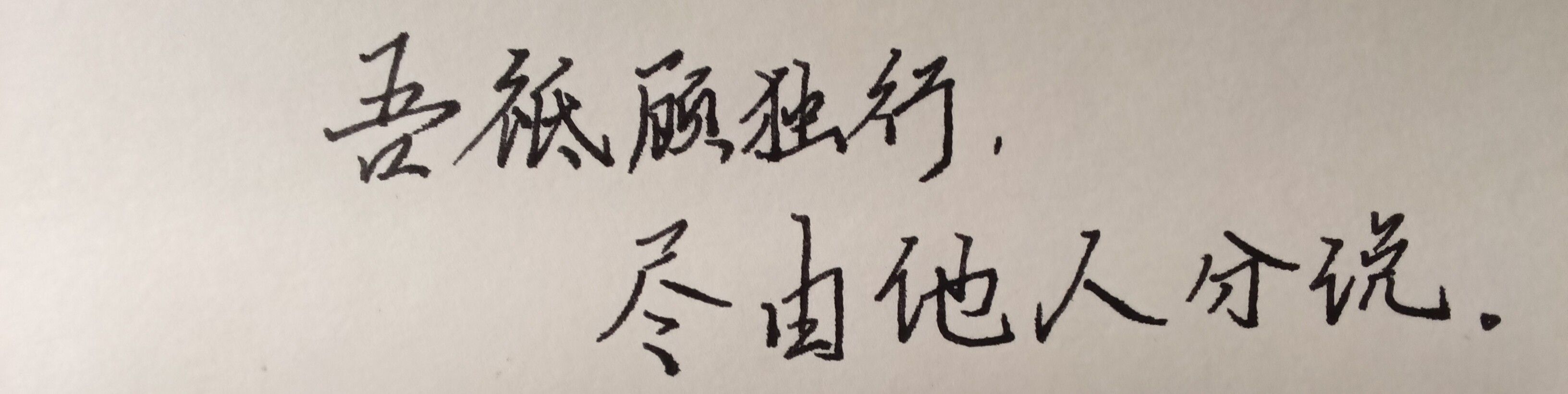1739712382269.jpg