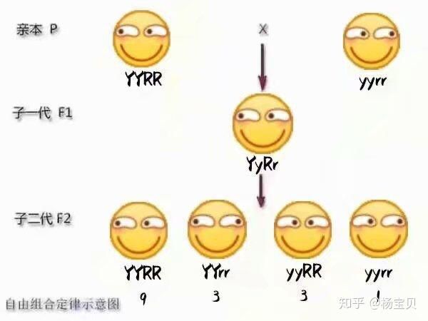 1722674418973.jpg