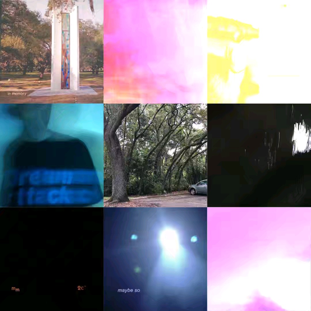 1742564945609_094936.jpg