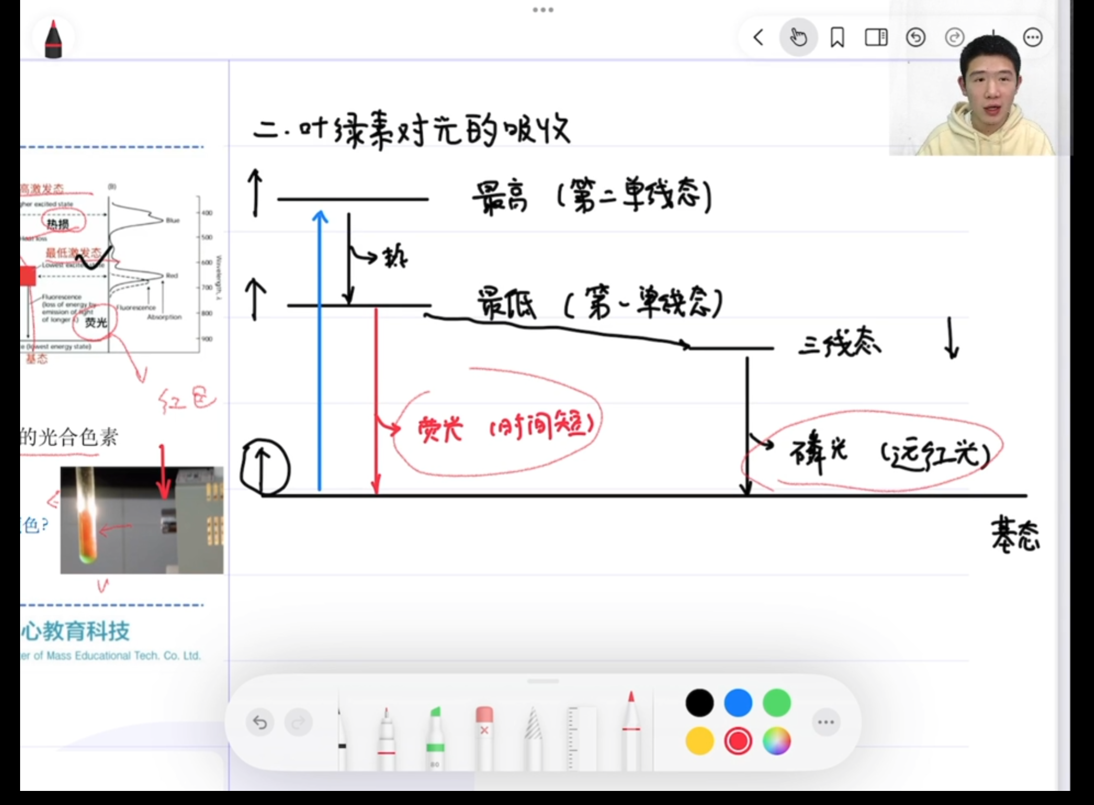 Screenshot_20250331-162120.png