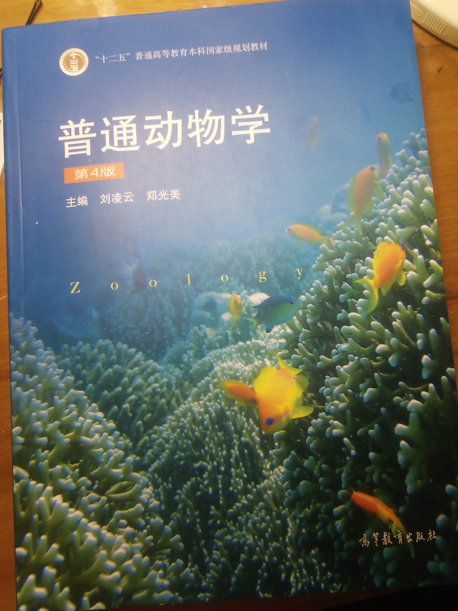 IMG_20250404_163508_474.jpg