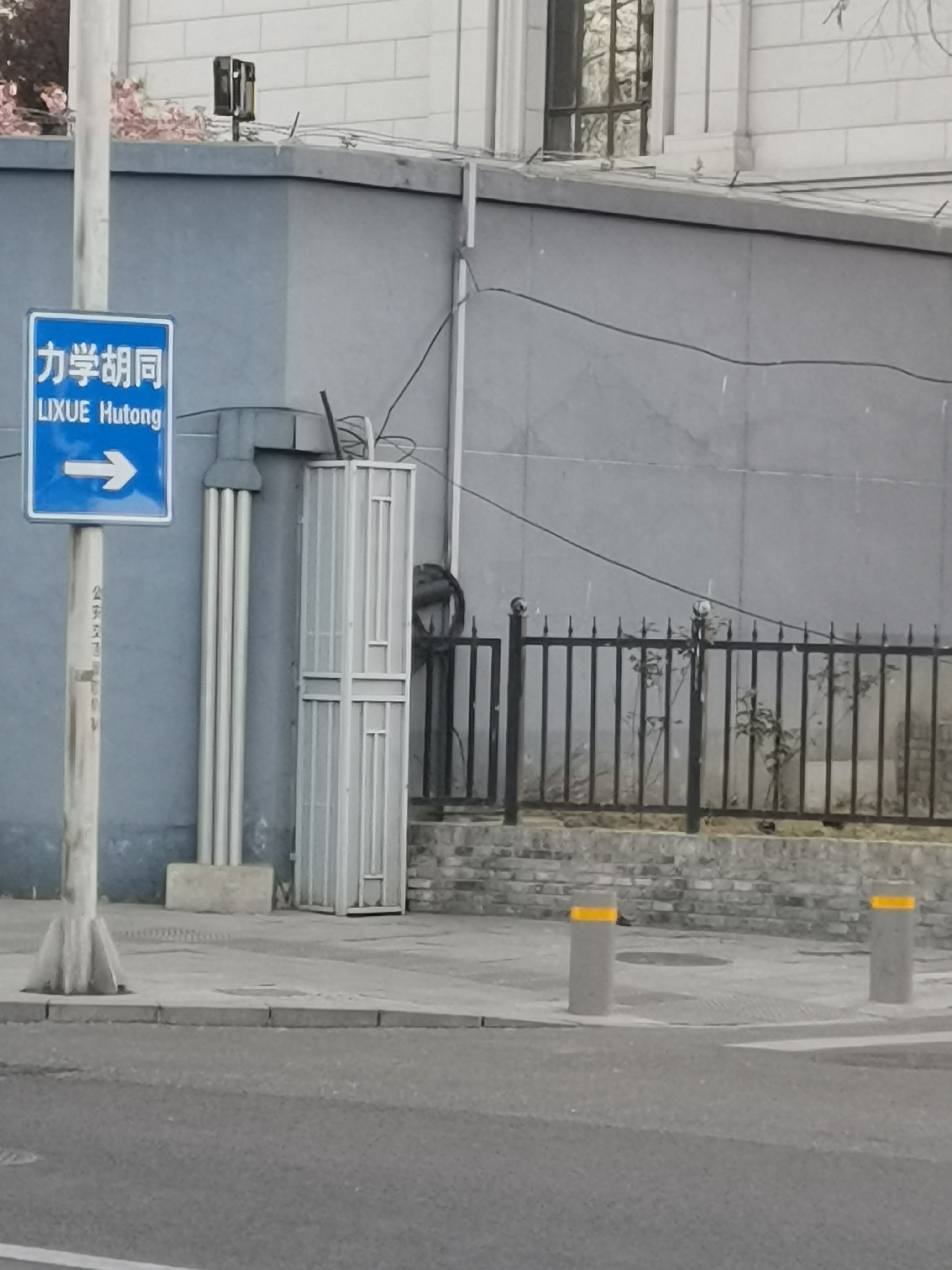 1743866003731.jpg