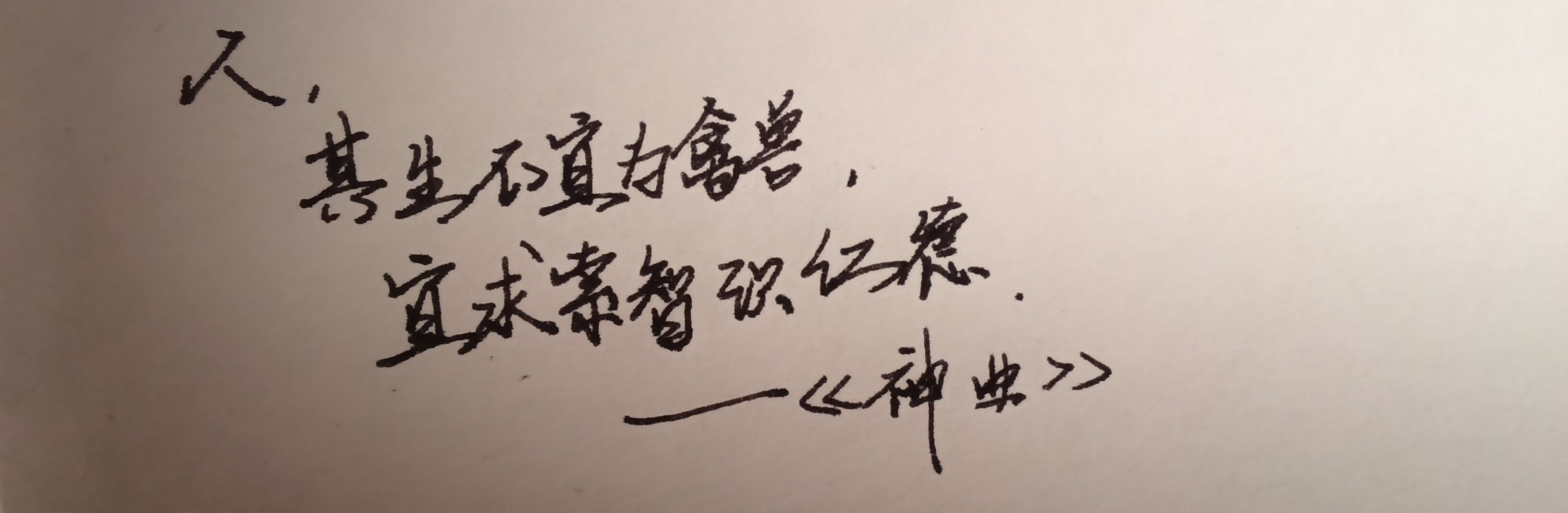1739712394940.jpg