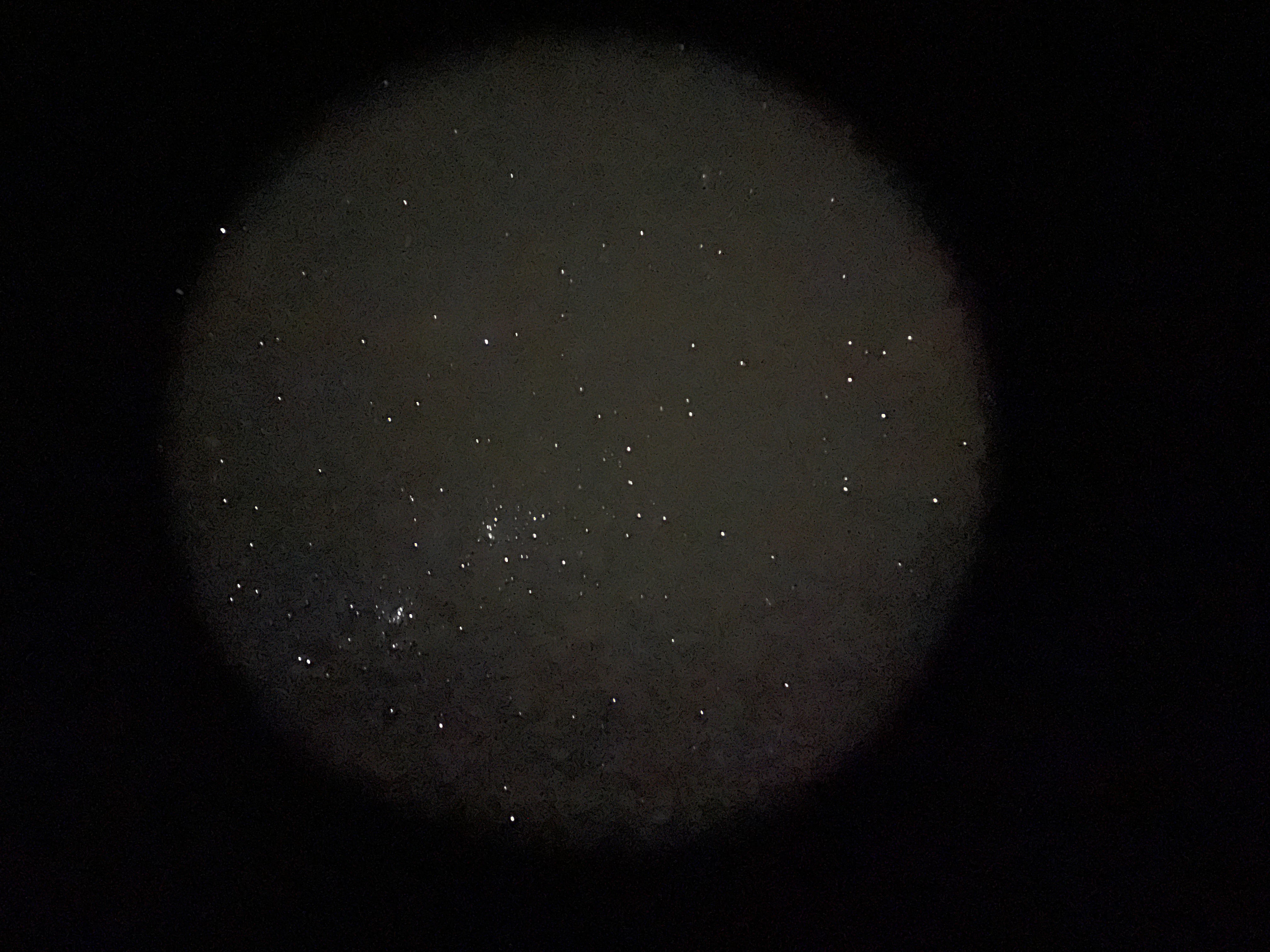 1743951765084_110301.jpg