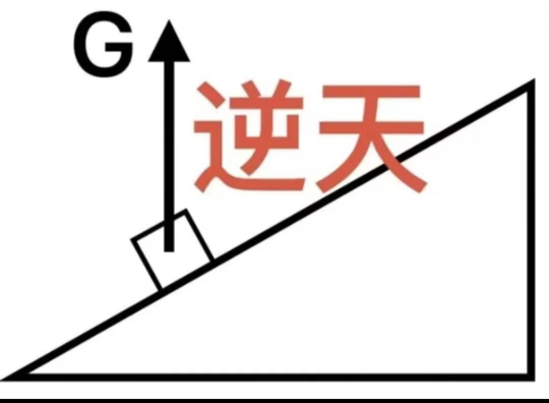 1741681456068.jpg