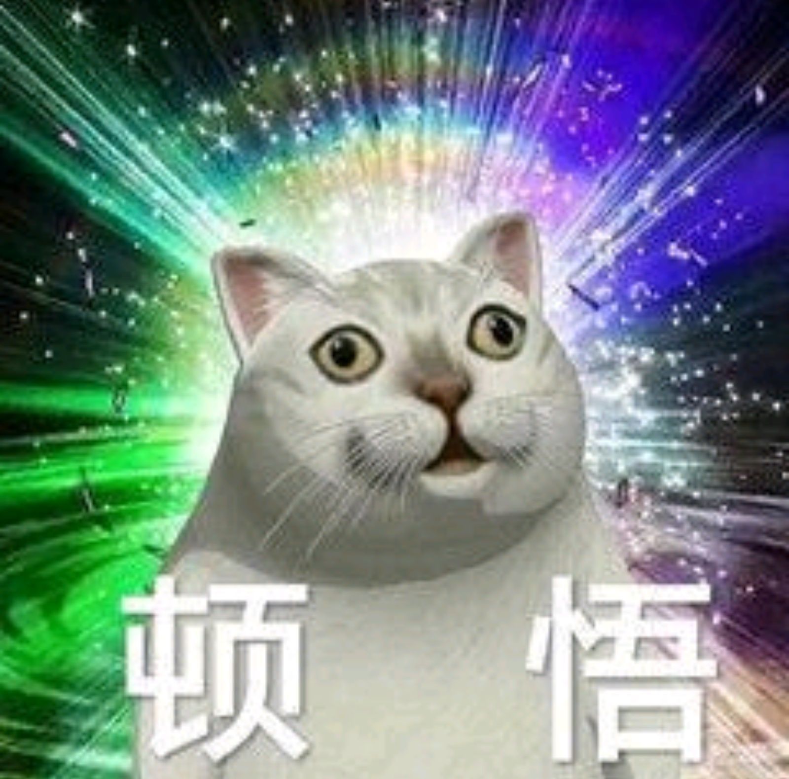 1737643972376.jpg