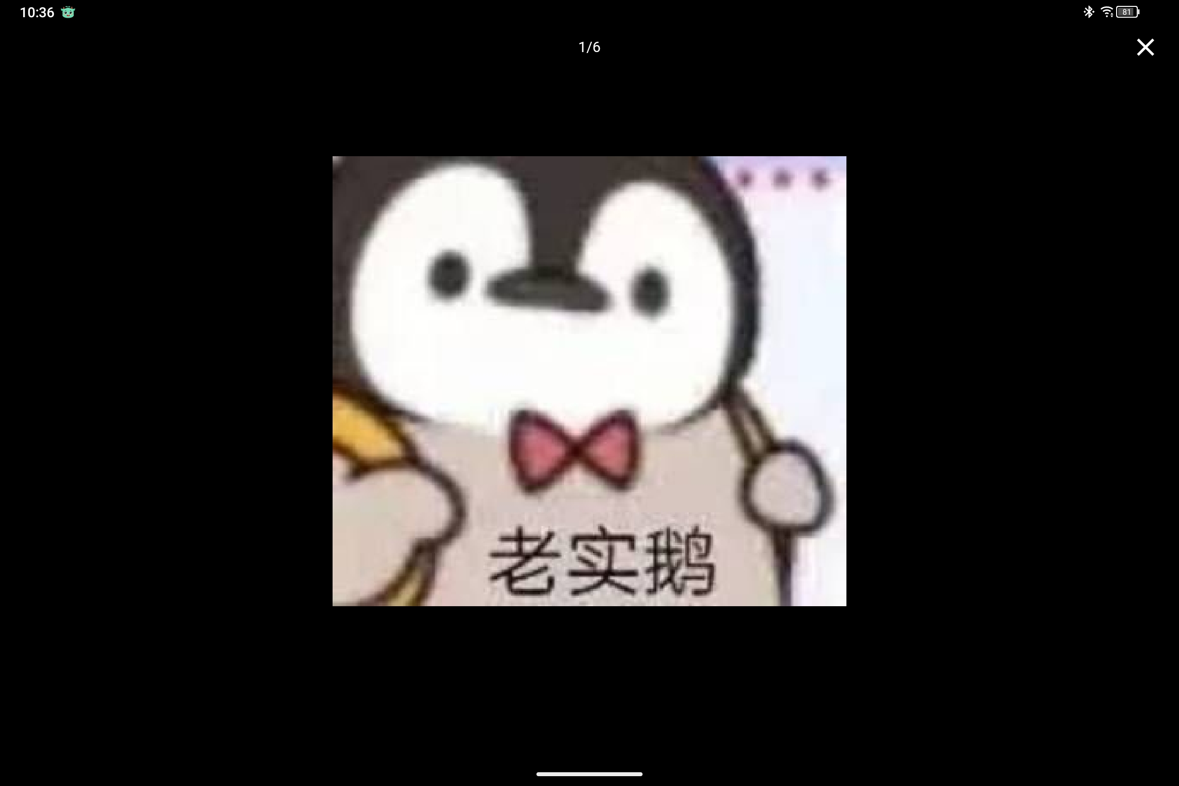 Screenshot_2024-10-27-10-36-17-707.jpg