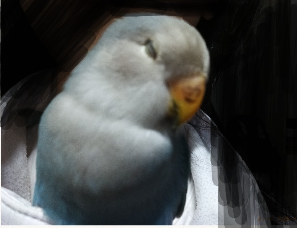 Screenshot_2025-04-14-03-22-59-591_1.jpg