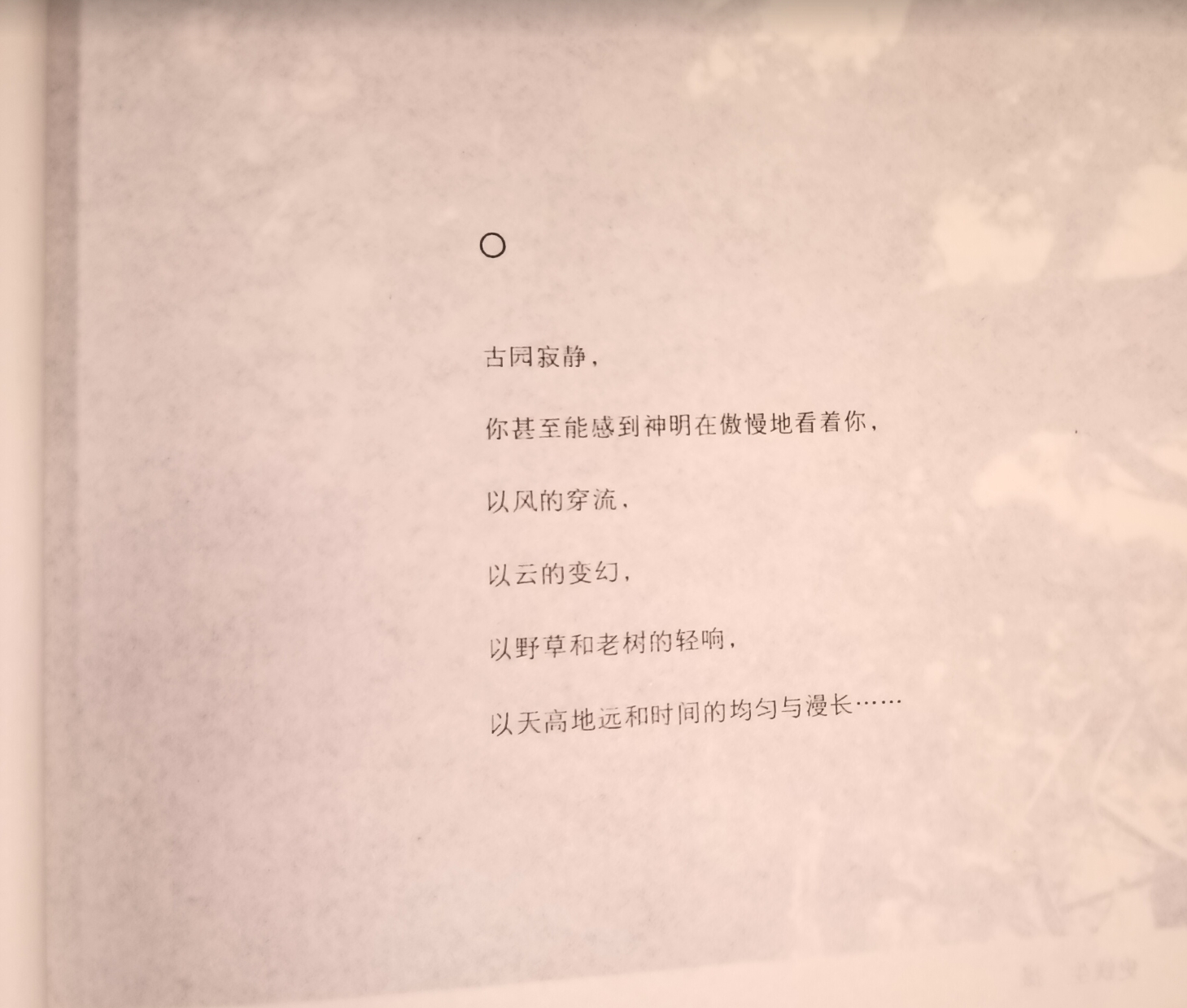 Screenshot_2025-04-15-23-24-45-418.jpg