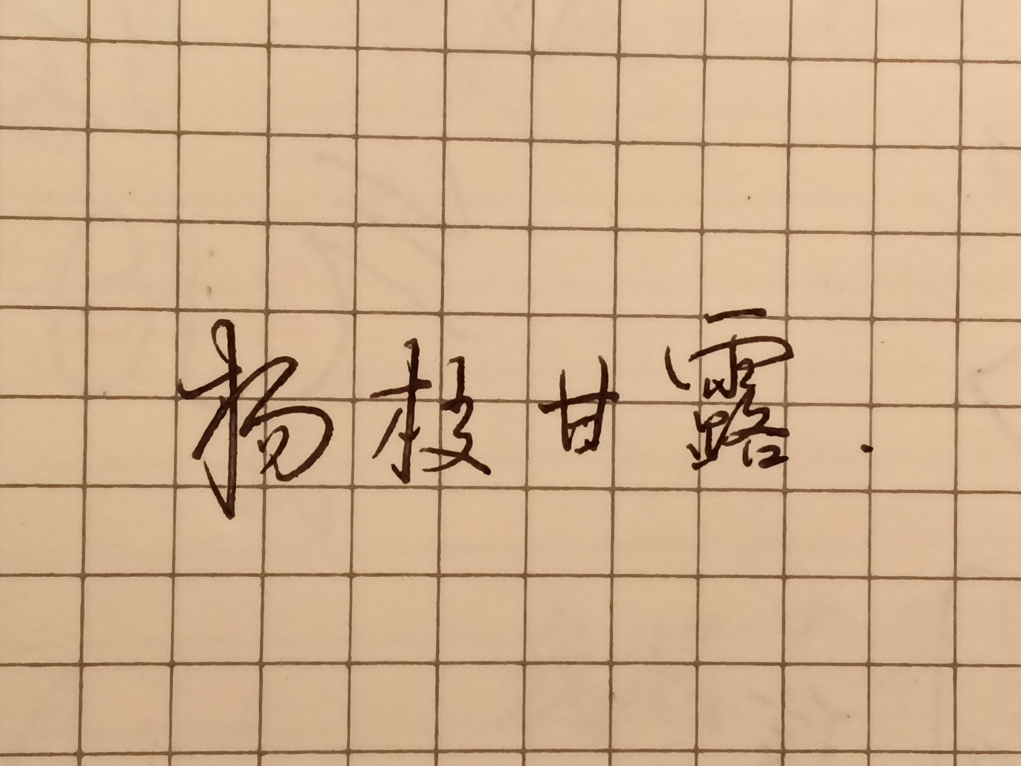 1744902036929.jpg