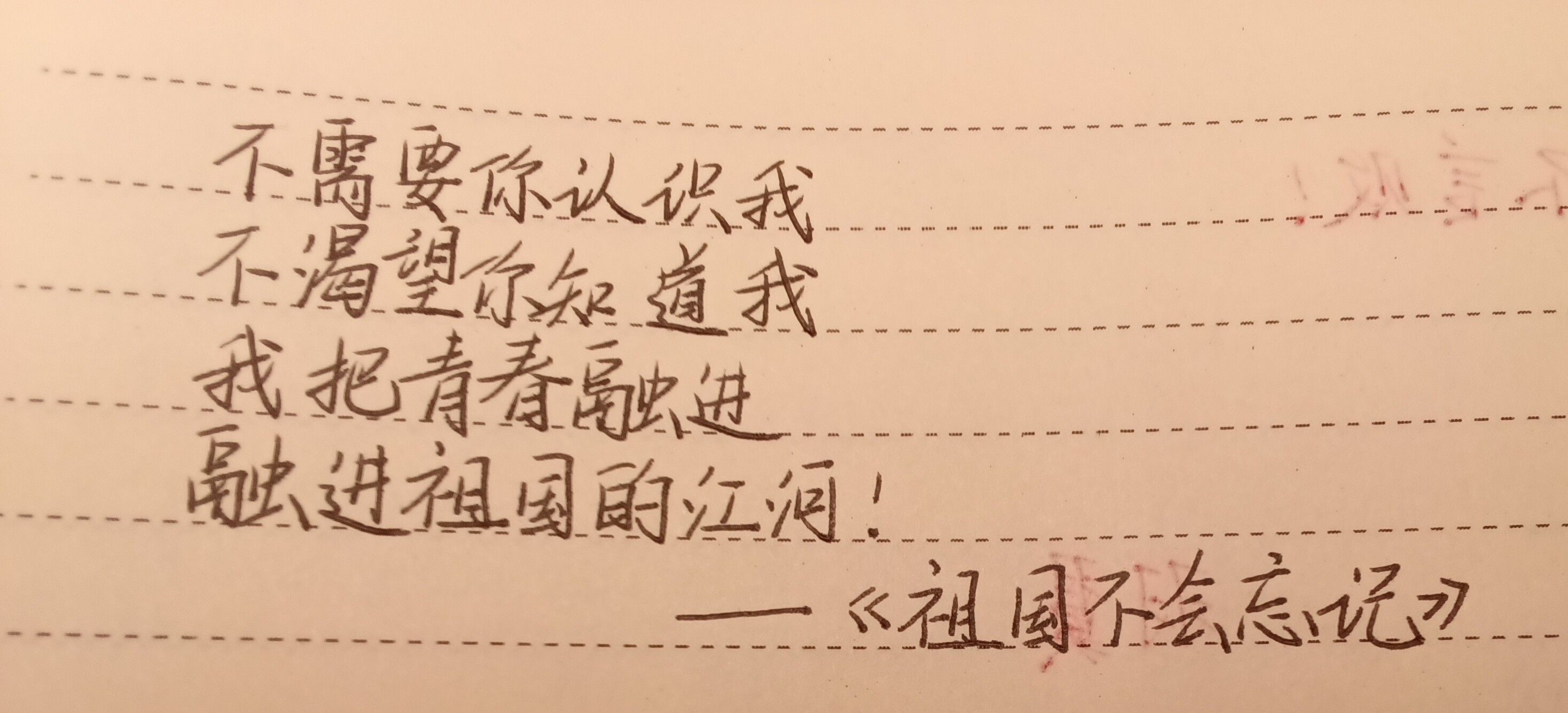 1743816481375.jpg