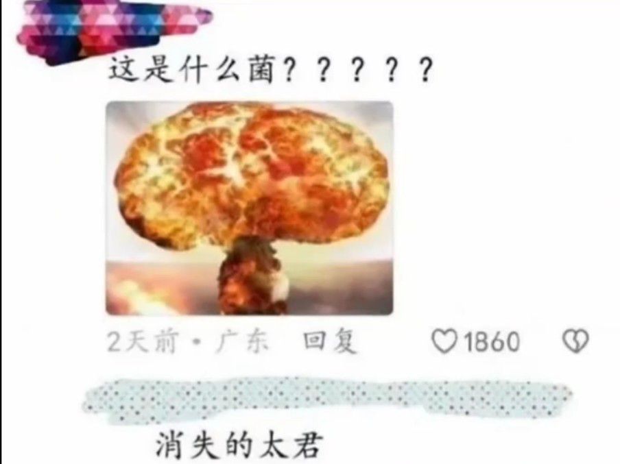 1743838844475.jpg
