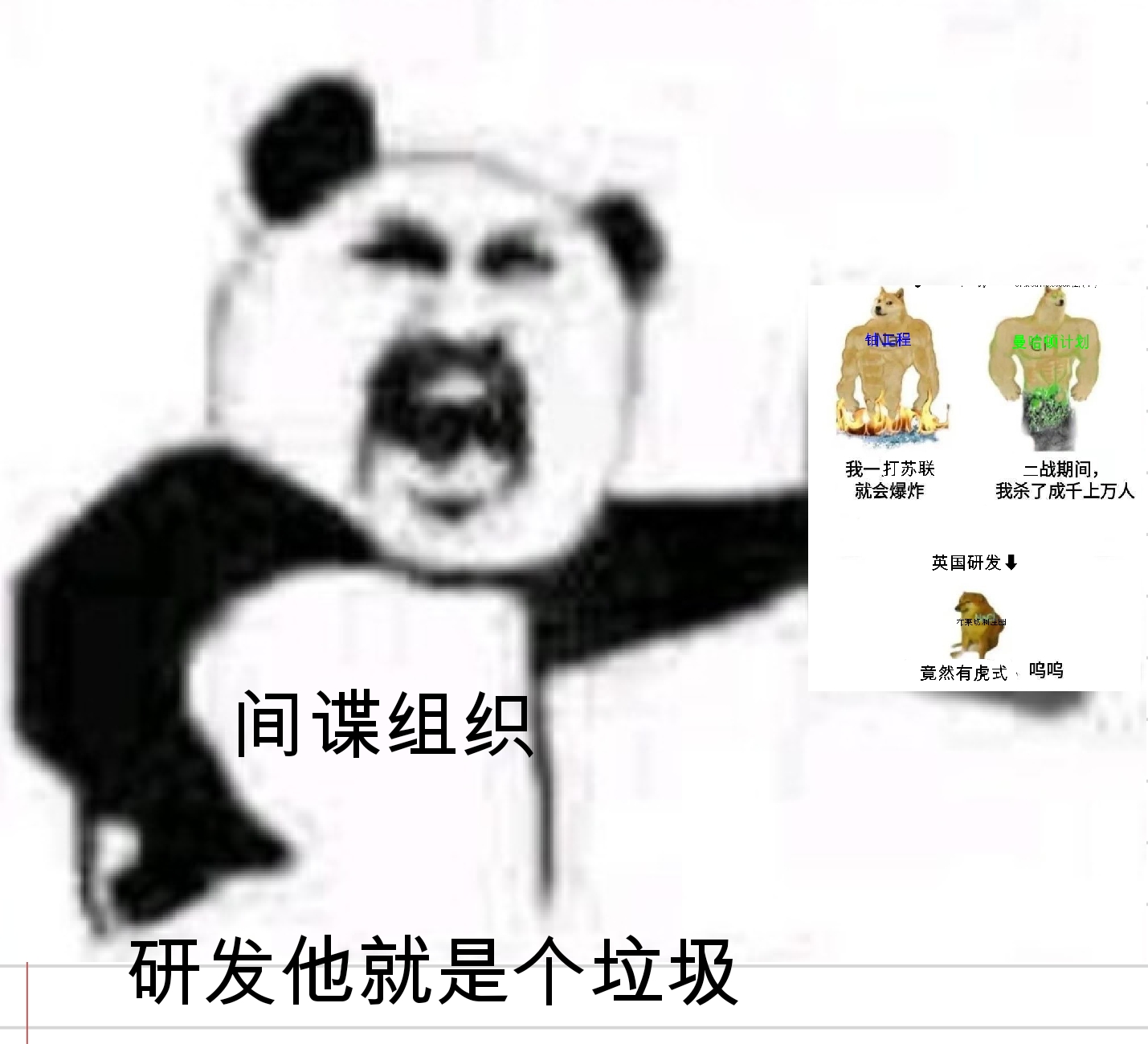 Screenshot_2025-05-05-00-34-12-441.jpg