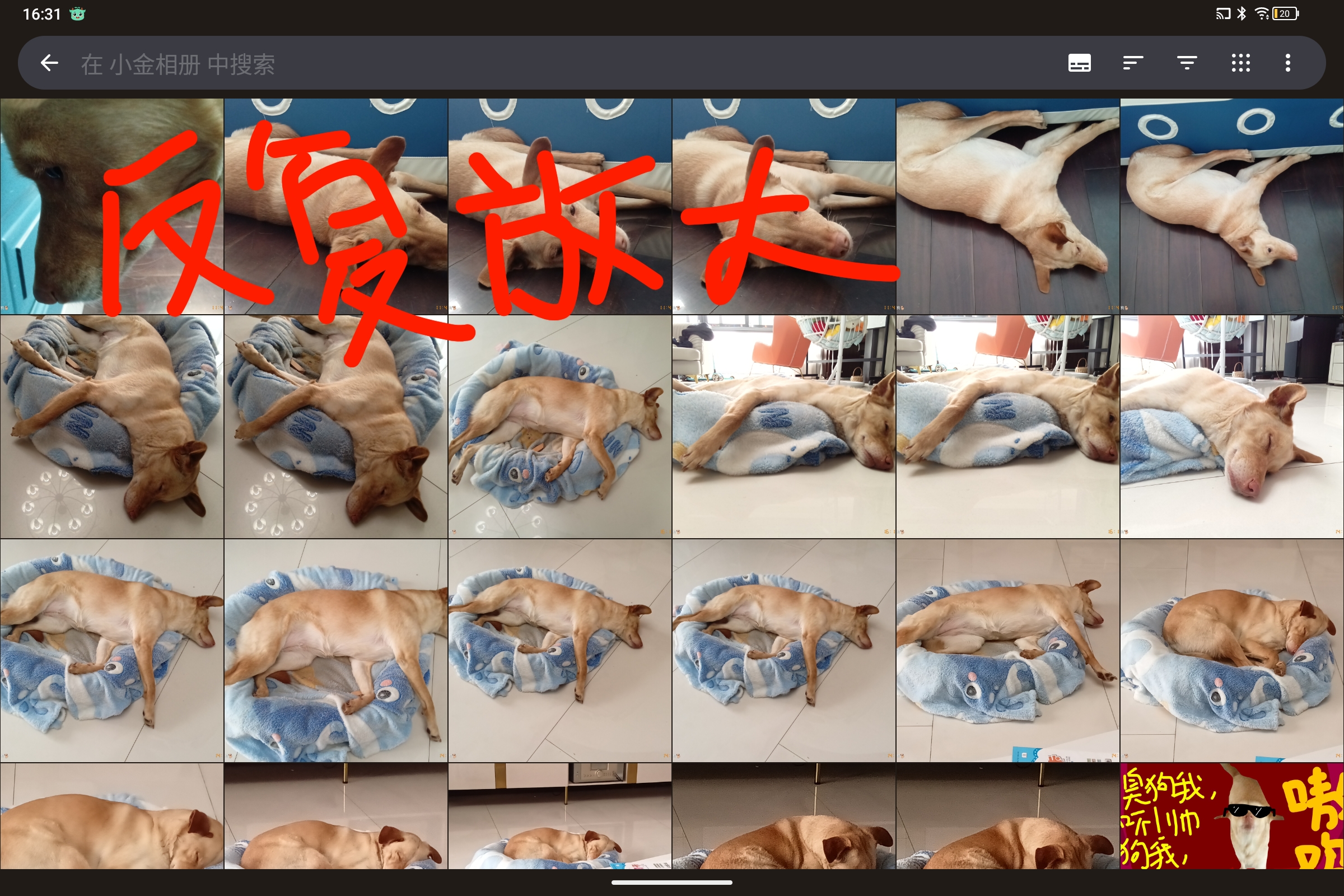 Screenshot_2025-05-07-16-31-07-403.jpg