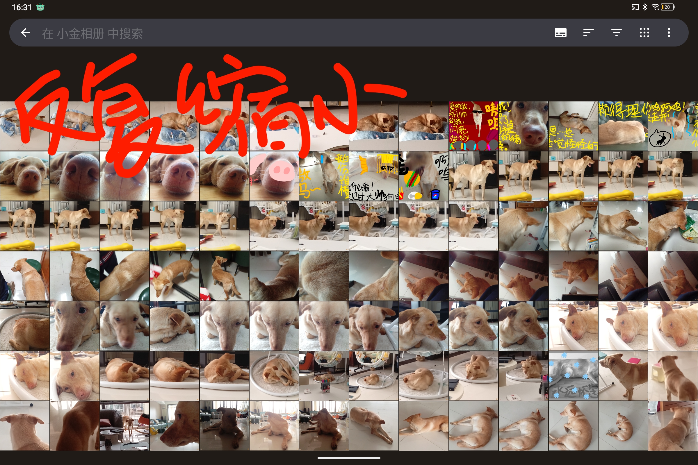 Screenshot_2025-05-07-16-31-48-210.jpg